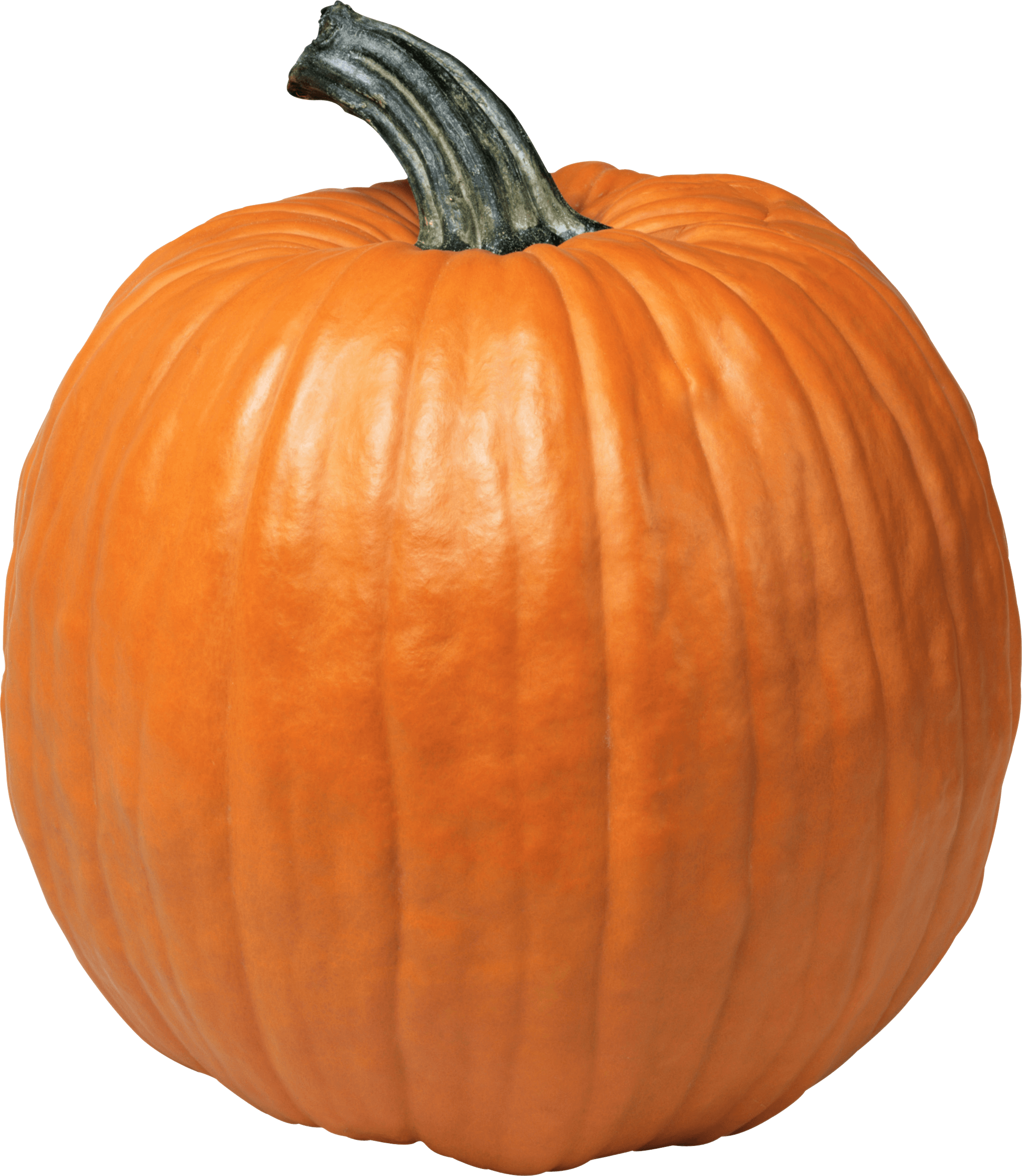 Pumpkin PNG - Pumpkin Seed Oil For Hair Near Me