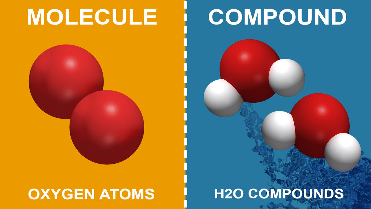 READ THE SCIENCE: 2.6 Compounds - Compound Used By Cells To Store And Release Energy
