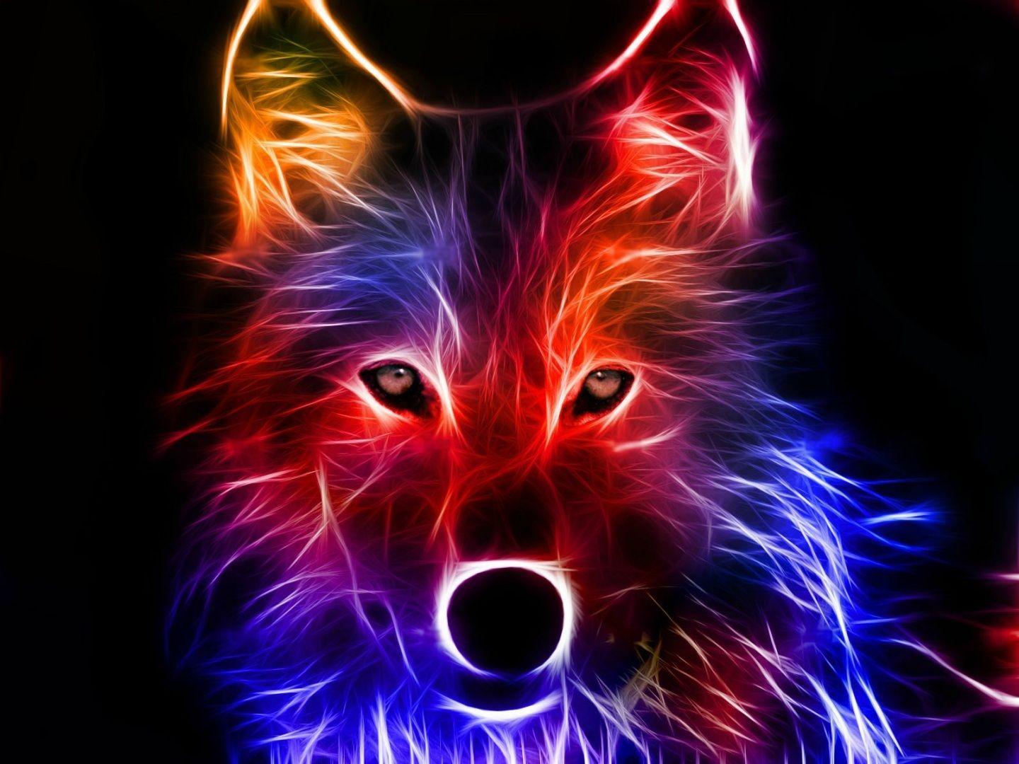 Cool Cats Casino No Deposit Bonus Codes 2021