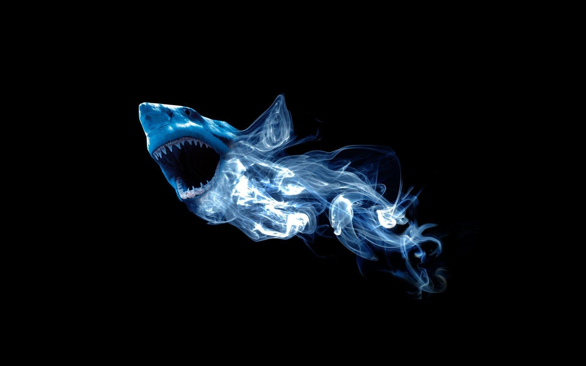 Really Cool Backgrounds Pictures - Wallpaper Cave - Cool Cats Casino No Deposit Bonus Codes 2021