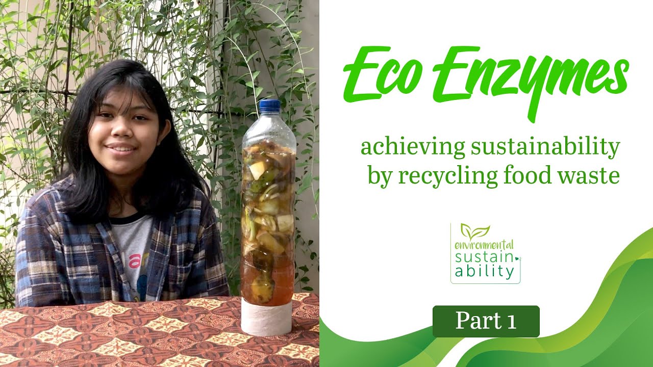 Provides Temporary Storage Of Food Enzymes And Waste Products