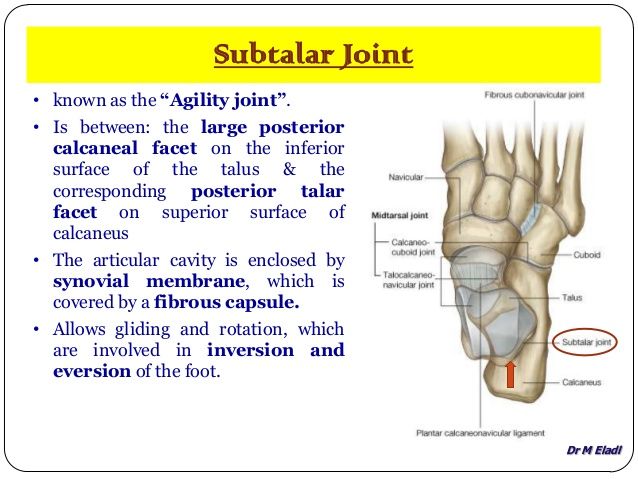 Fixation Of A Joint Medical Term