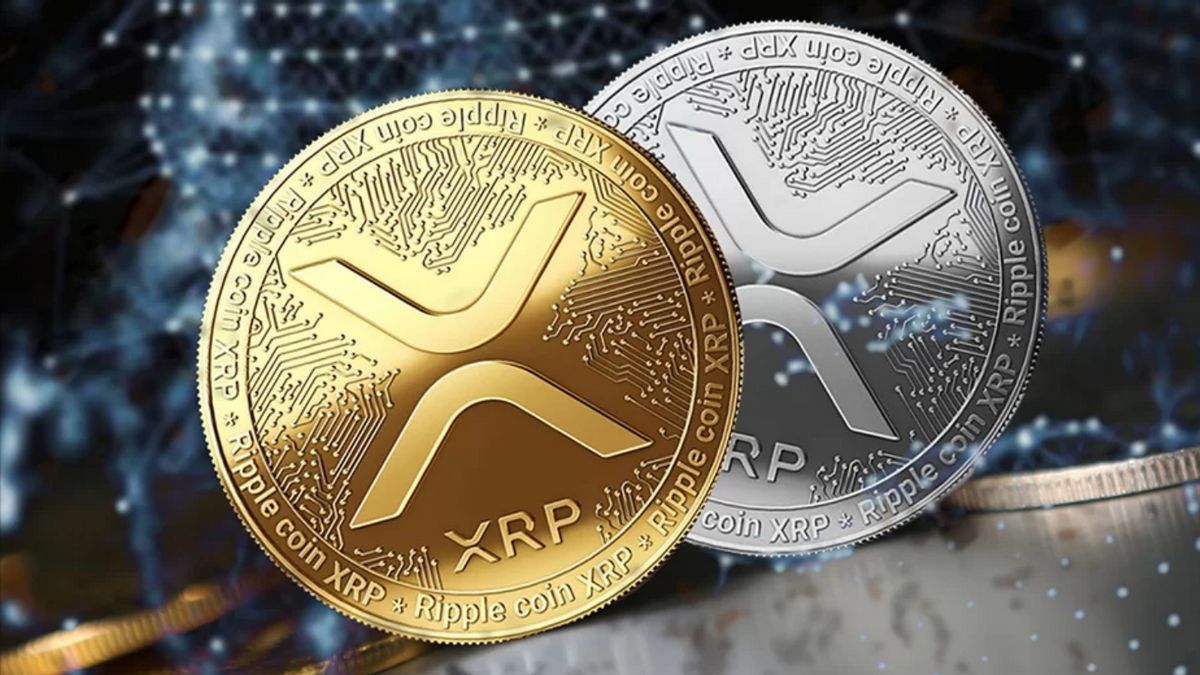 Ripple Co-Founder Says XRP Price Will Reach $10,000? - Details - Xrp Or Dogecoin Which Is Better