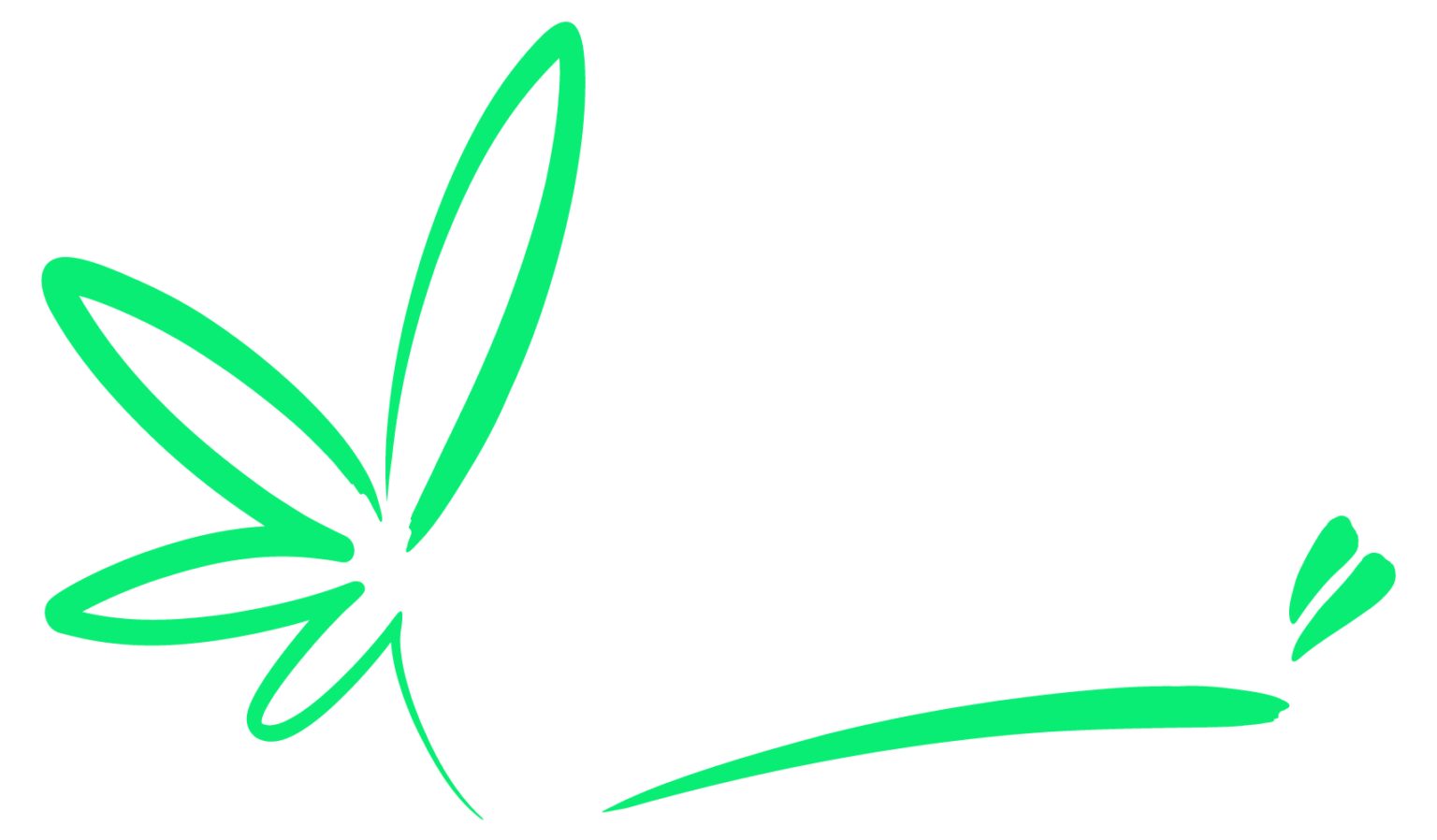 RISE Medical Cannabis Dispensary Crystal River Crystal River, Florida - Rise Medical Cannabis Dispensary Crystal River
