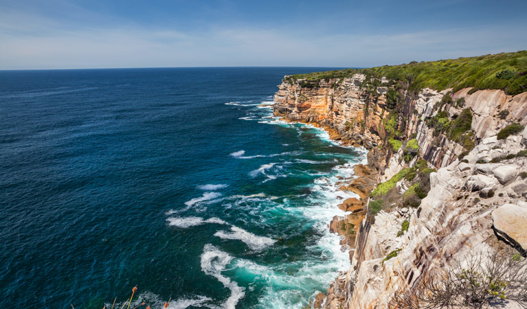 Royal National Park | NSW National Parks - National Environmental Satellite Data And Information Service