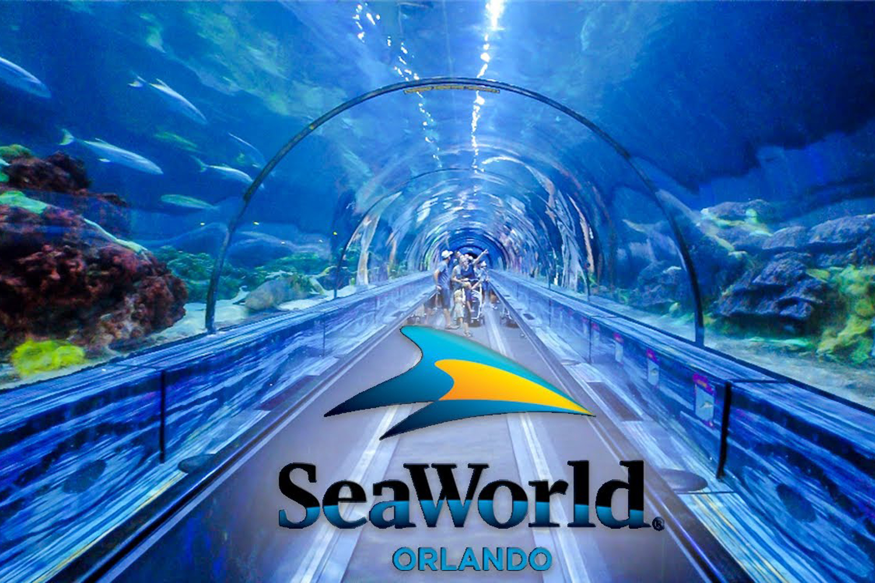 Seaworld And Busch Gardens Conservation Fund