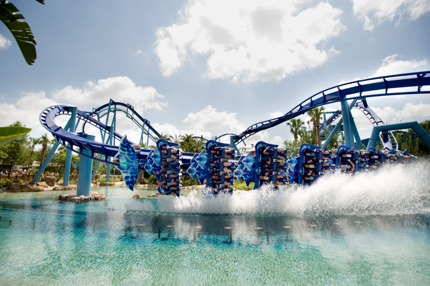 SeaWorld Orlando: Guia completo do parque | Dicas de Viagem - Seaworld And Busch Gardens Conservation Fund