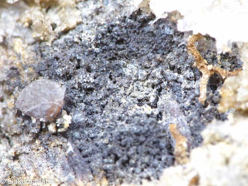 Selenium Mineral Specimen For Sale - Teck Mining Builds Biologic Treatment For Selenium