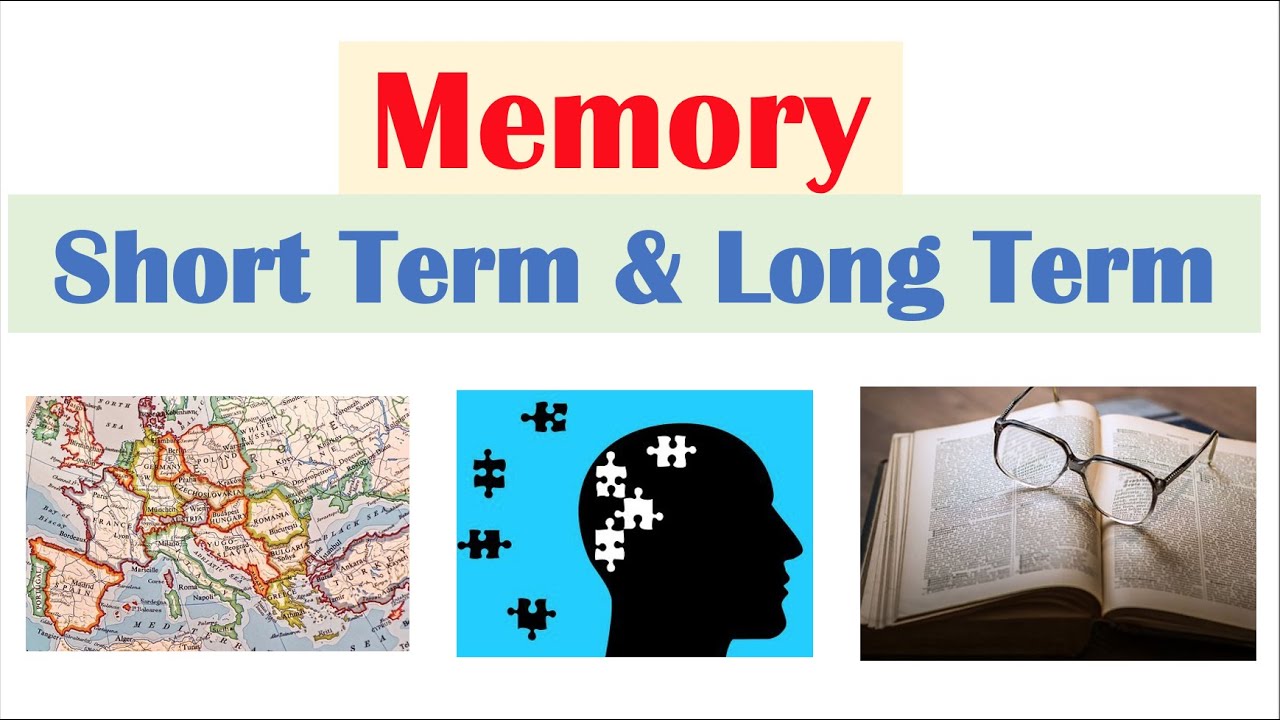 Sensory Memory Short Term Memory And Long Term Memory - Memory Wave Reviews And Complaints Reddit