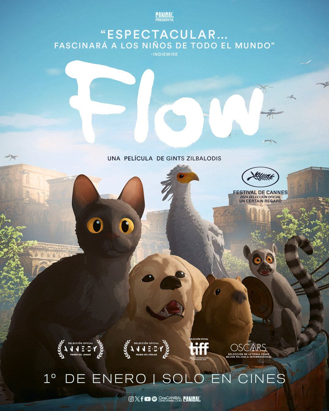 Sesiones de Flow en Campeche - SensaCine.com.mx - Flow Drops: Adaptogen Mushroom Blend For Mental Clarity