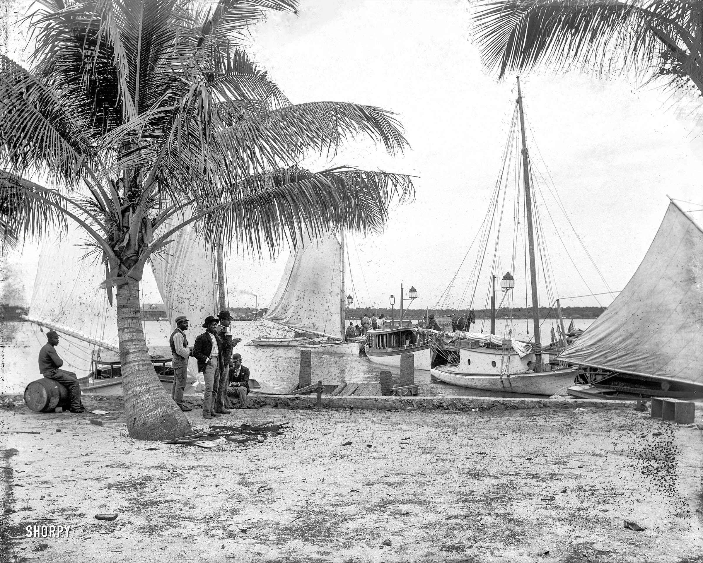 Shorpy Historical Picture Archive :: Palm Beach: 1897 high-resolution photo - Restoring Palm Beach History With Mia Martin
