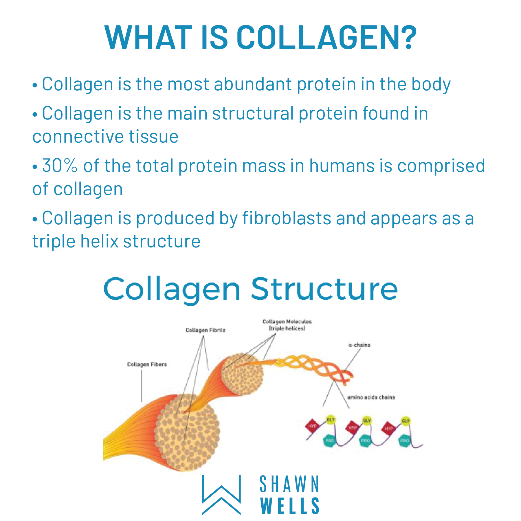 Show all - Collagen Peptides With Fortibone And Verisol