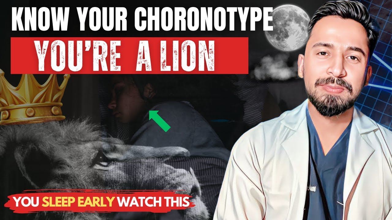 SLEEP BETTER || If You Sleep Early Watch This || Facts About The Lion - How Many Hours Does Lion Sleep