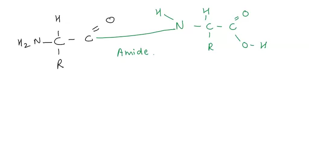 SOLVED: Match each description or function with the correct inorganic - Waste Product Of Energy-releasing Metabolic Reactions