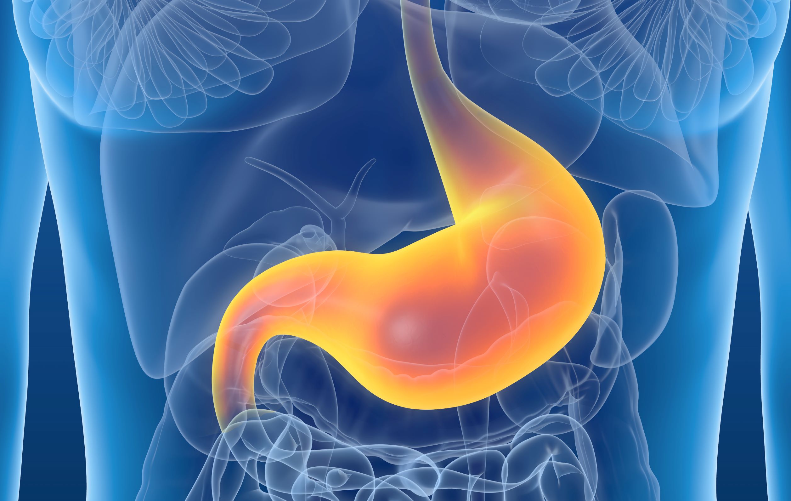 Stomach Lymphatic Drainage Massage Near Me