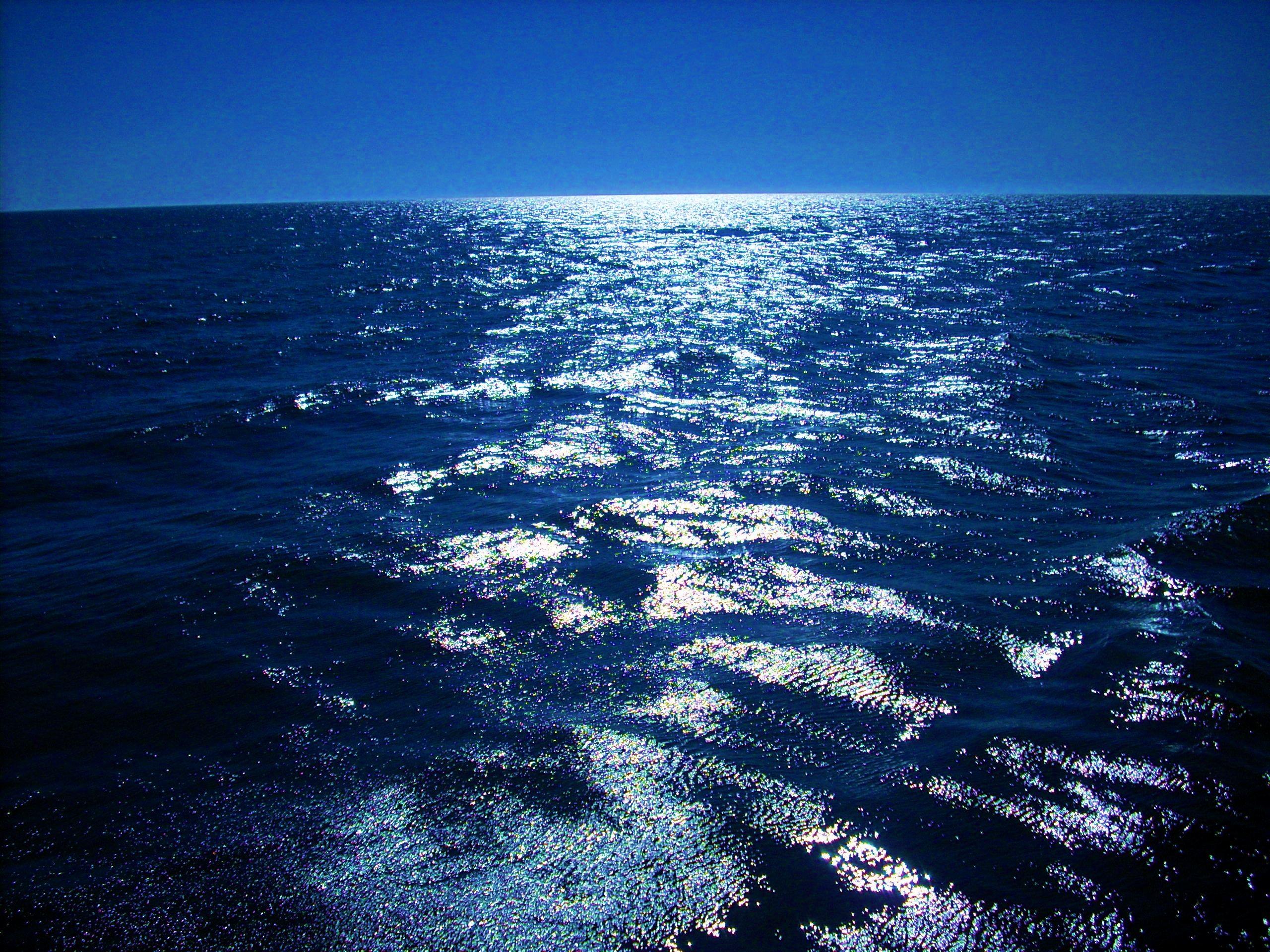 Something to discuss in SEA - Sea World Black Friday Deals 2024