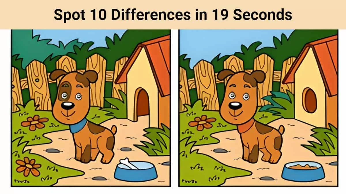 Spot The Difference: Can you spot 10 differences in 19 seconds? - How To Spot A Fake Chanel Handbag