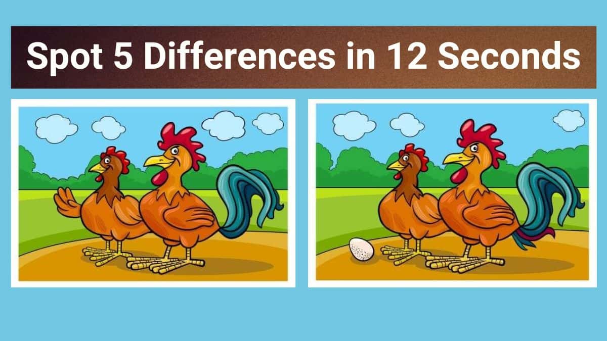 Difference Between Full Spectrum And Live Resin