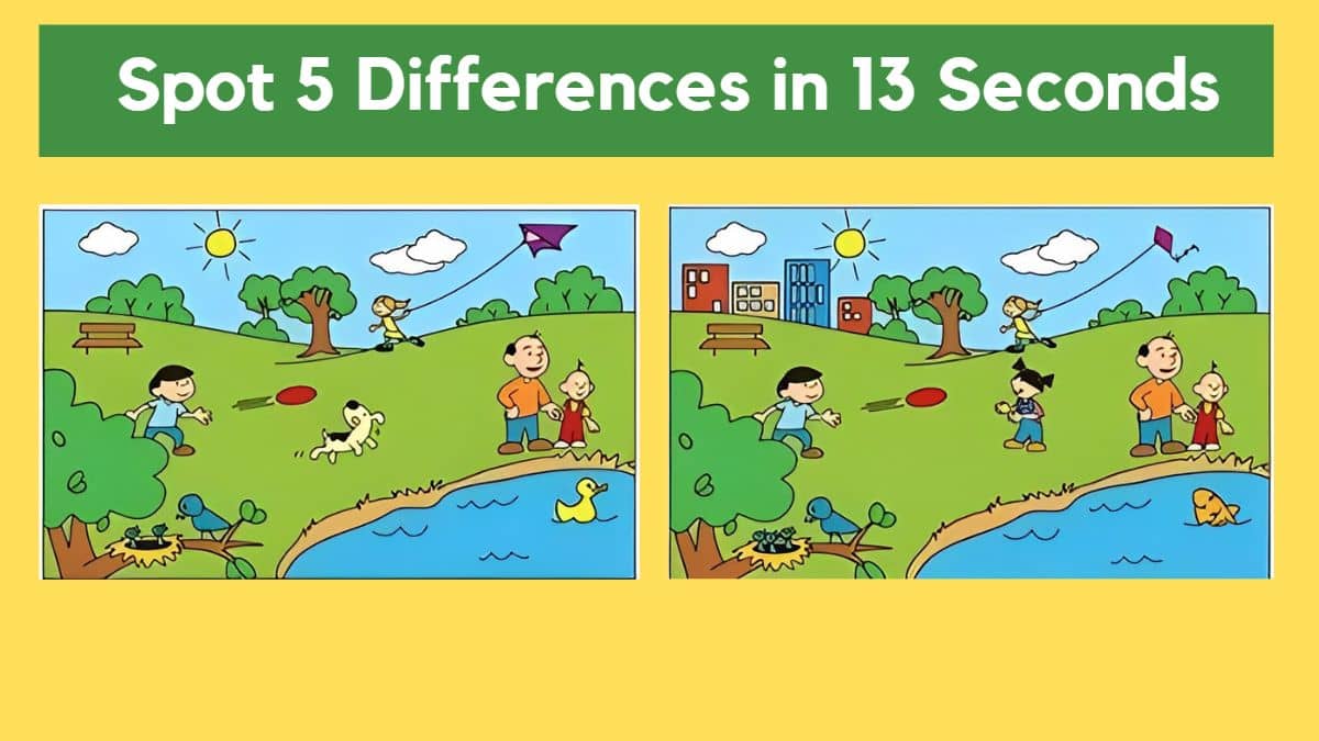 Spot The Difference: Can you spot 5 differences between the two images - Difference Between Payday Loan And Installment Loan