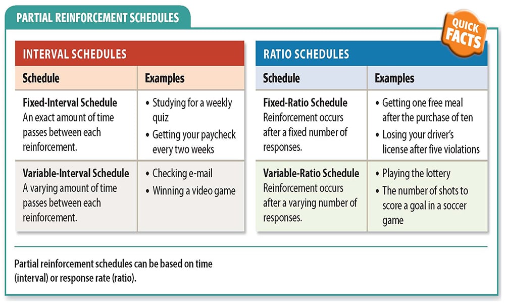 Step Select A Schedule Of Reinforcement, 42% OFF - Intermittent Schedules Of Reinforcement Are Necessary To