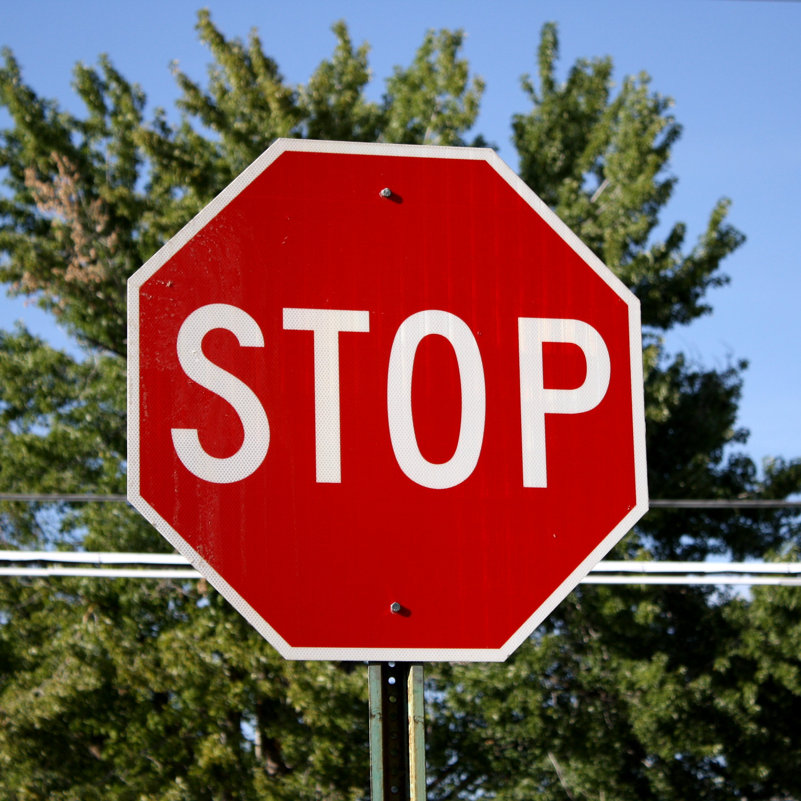 How To Stop Hair Loss After Steroid Cycle