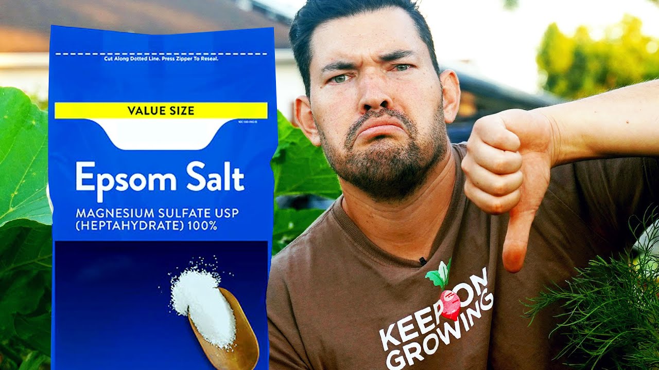 STOP Using Epsom Salt in Your Garden 🚫 - YouTube - Does Epsom Salt Dissolve In Water