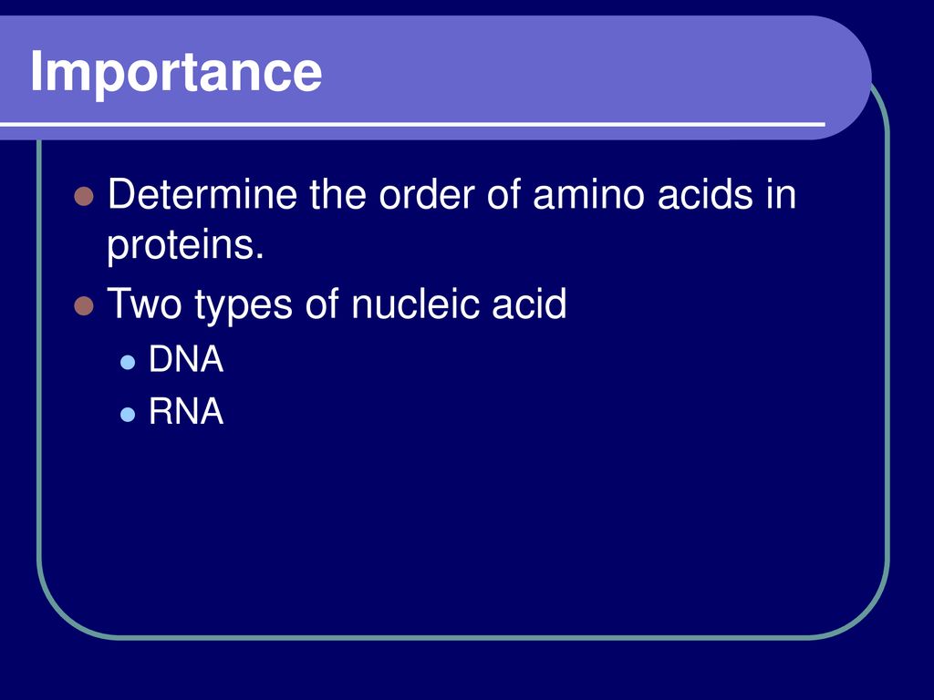 Amino Acids Are Delivered In Their Appropriate Order By