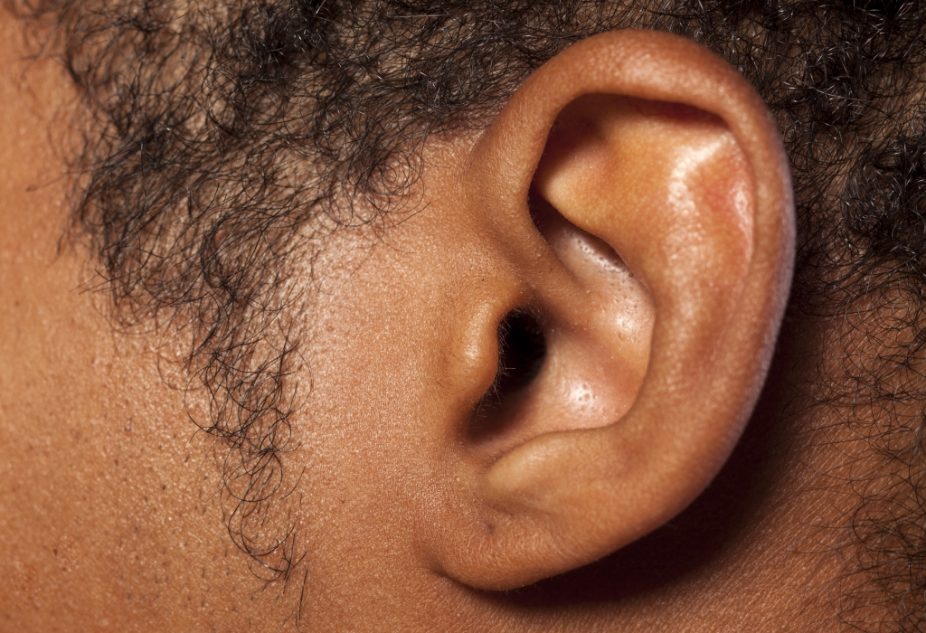 Structures of the Ear - Ear Nose And Throat Doctor Reno