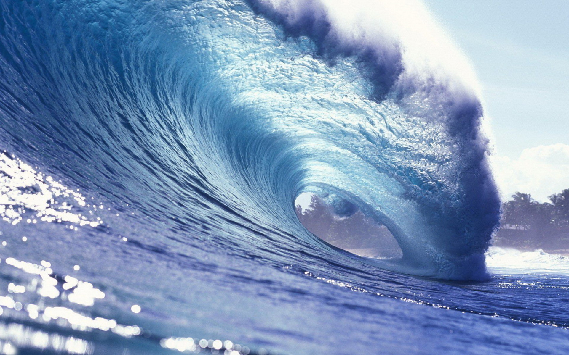 Wave For Next Level Execs Llc