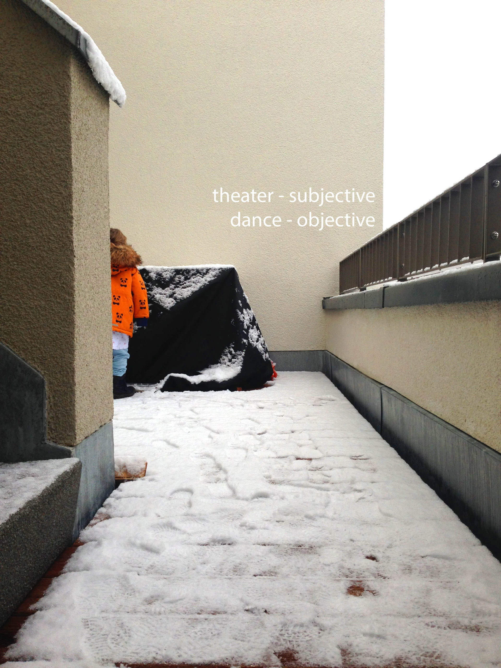subjective – Inquiry Observation Analysis - Subjective Based On Opinions Or Assumptions