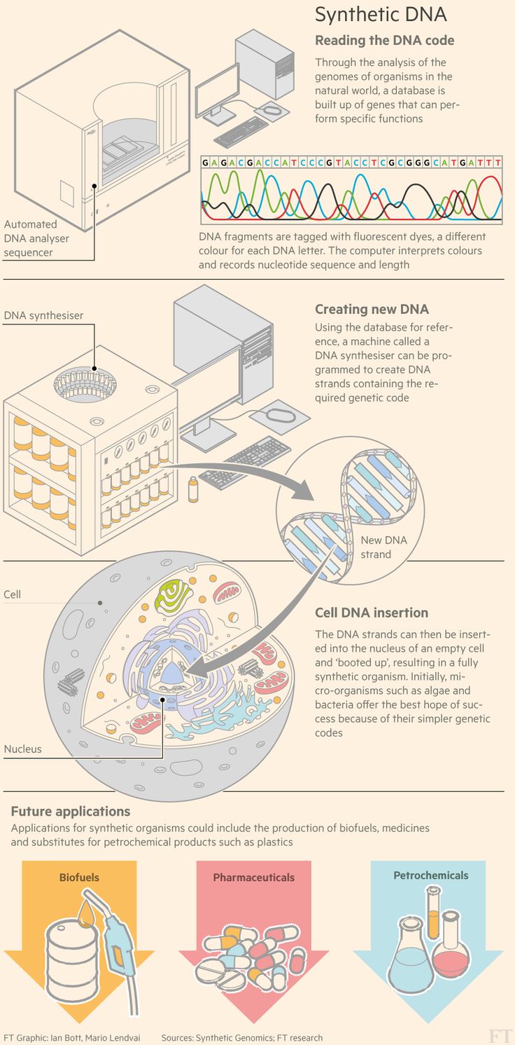 Subscribe to read | Genetic information, Business publication, Reading - Genetic Information Is Bundled Into Packages Of