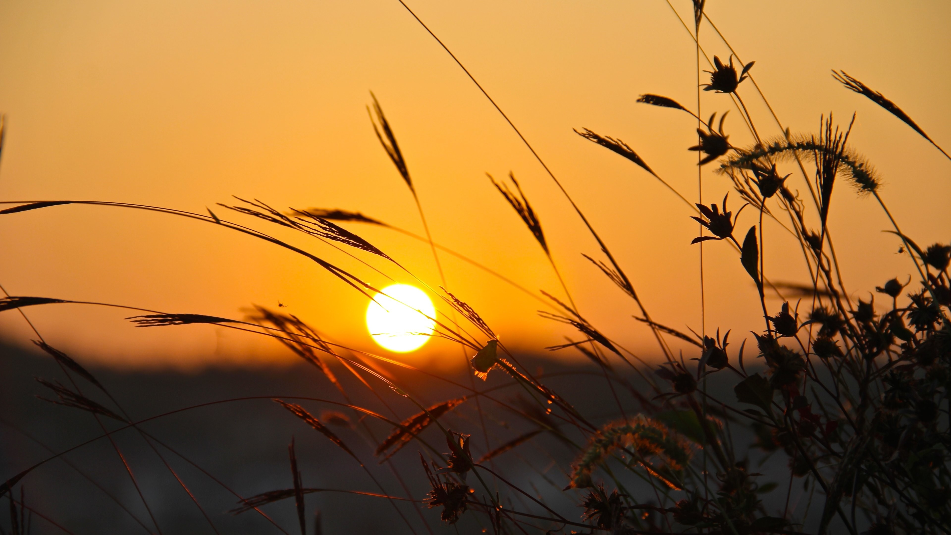 Summer Sunset Wallpaper (63+ images) - Summer Thermostat Setting For 2 Story House