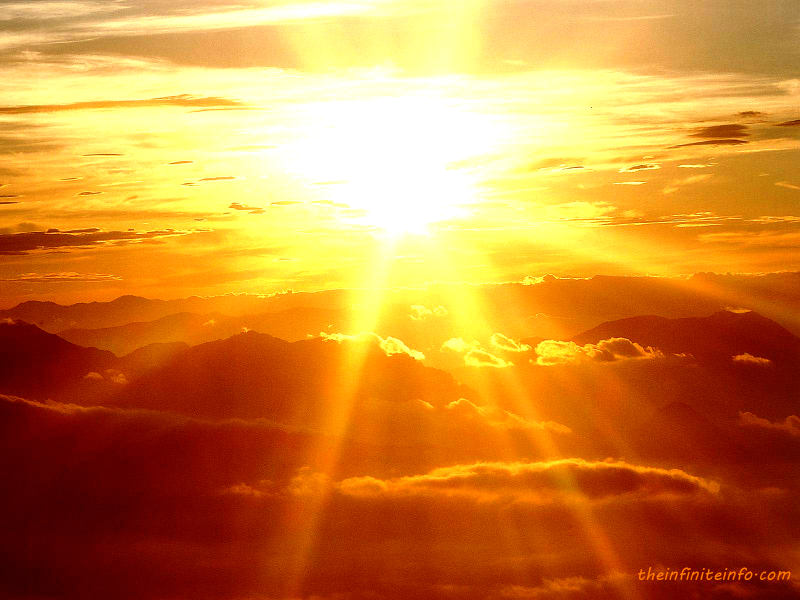 Sunshine wallpaper | 1600x1200 | #53753 - Sunshine Biopharma Inc Subsidiaries Licensing Agreements