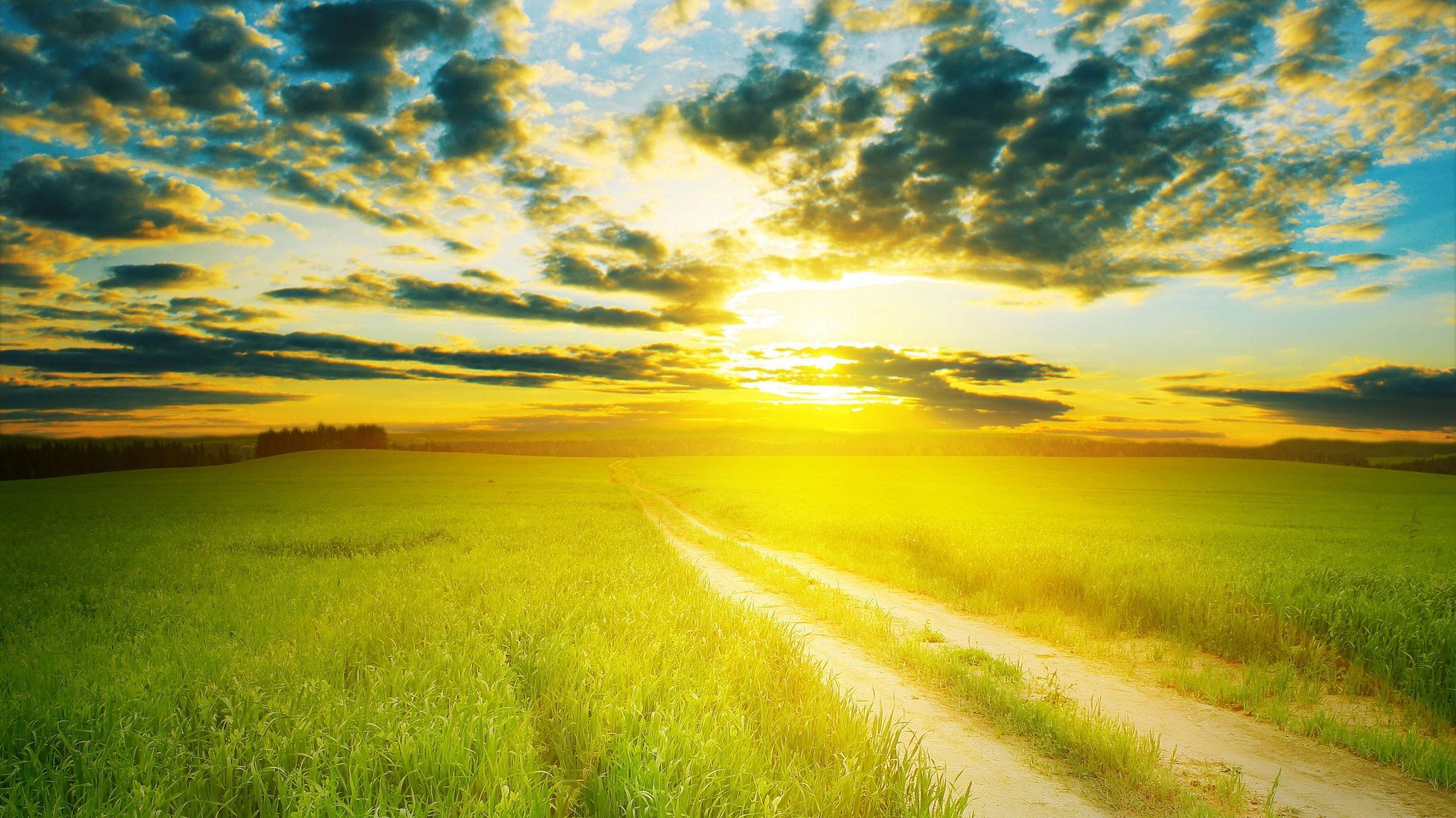 Sunshine Biopharma Inc Subsidiaries Licensing Agreements
