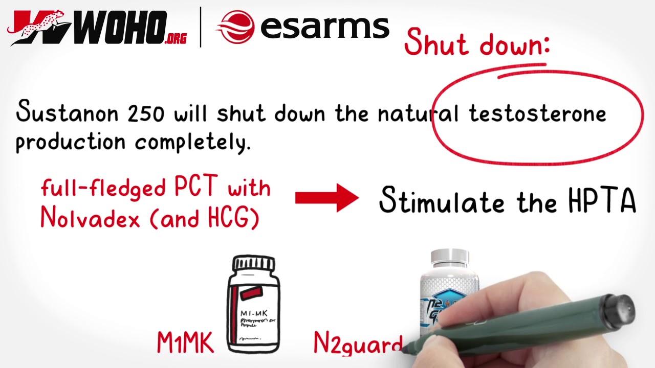 How Often To Inject Sustanon 250