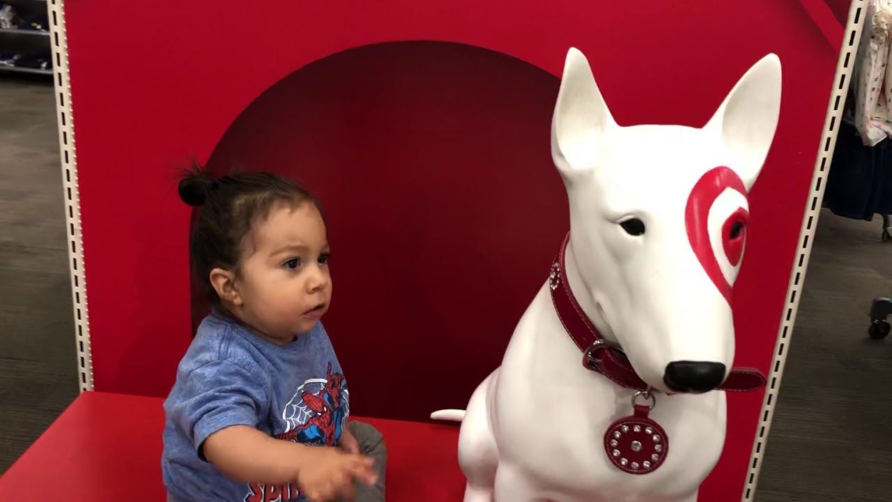 Faithfully Yours Dog Training Target Market