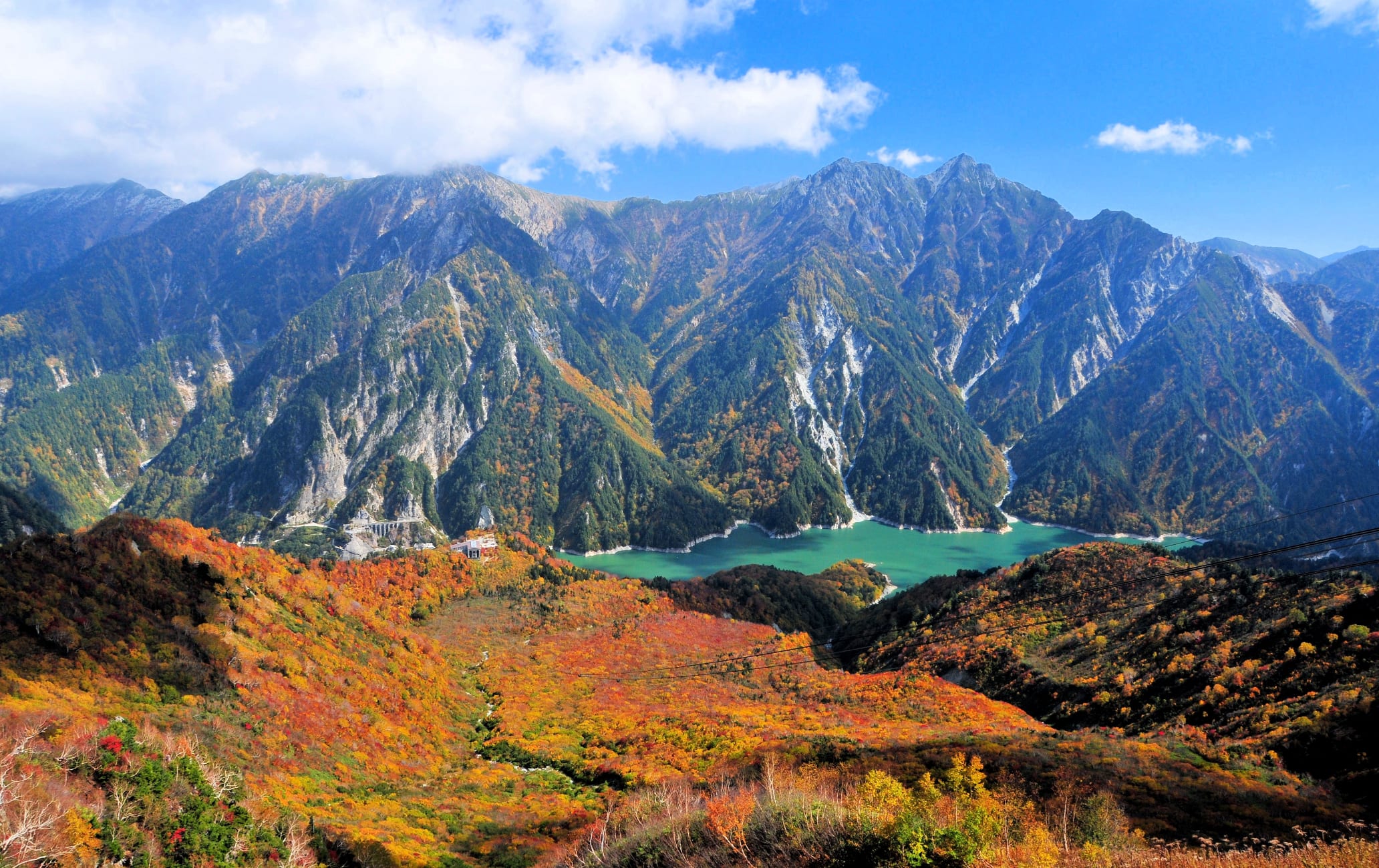 Nagano Lean Body Tonic Reviews And Complaints