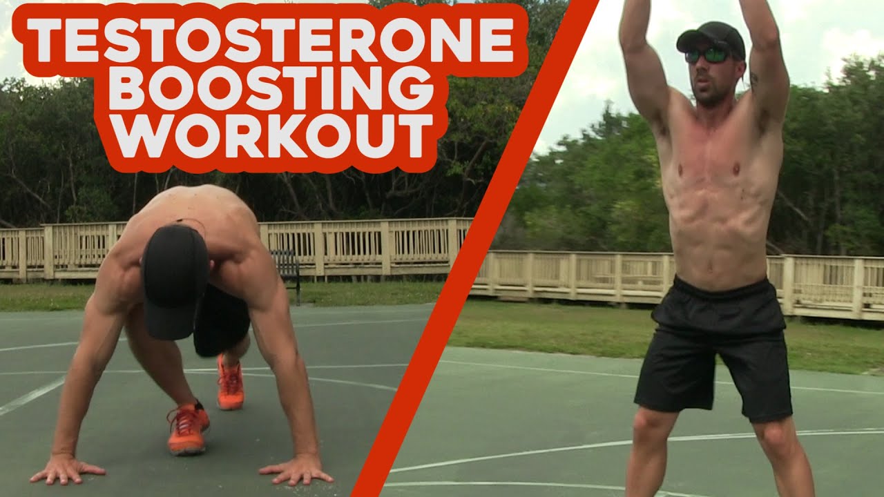 How Often Should I Workout On Testosterone