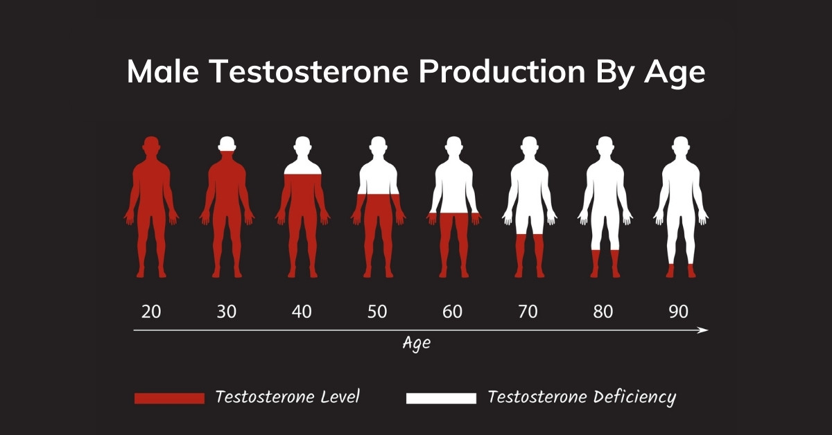 Normal Bioavailable Testosterone Levels By Age