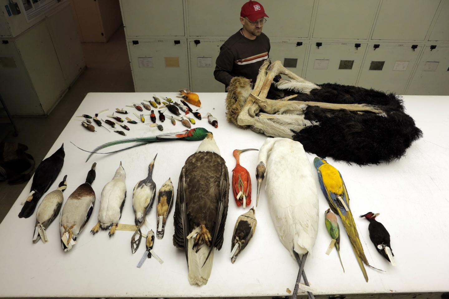 Avian And Exotic Veterinary Care Portland
