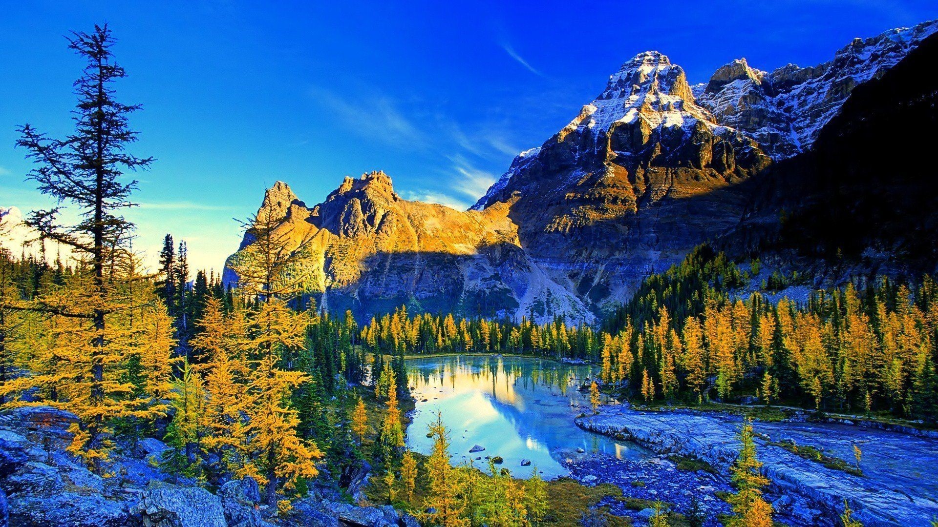 The Best 4K Wallpapers (19+ images) - 4k 120hz Tv Black Friday Deals
