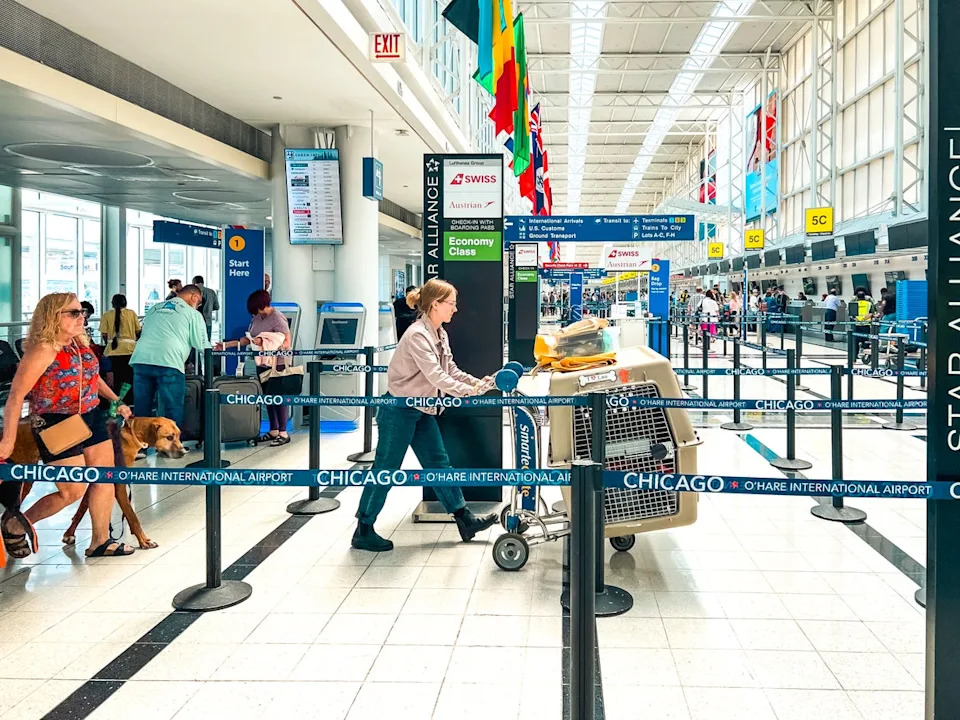 The busiest day for flights this year is soon — here’s what to know - The Final Step Of The Wise Choice Process Involves