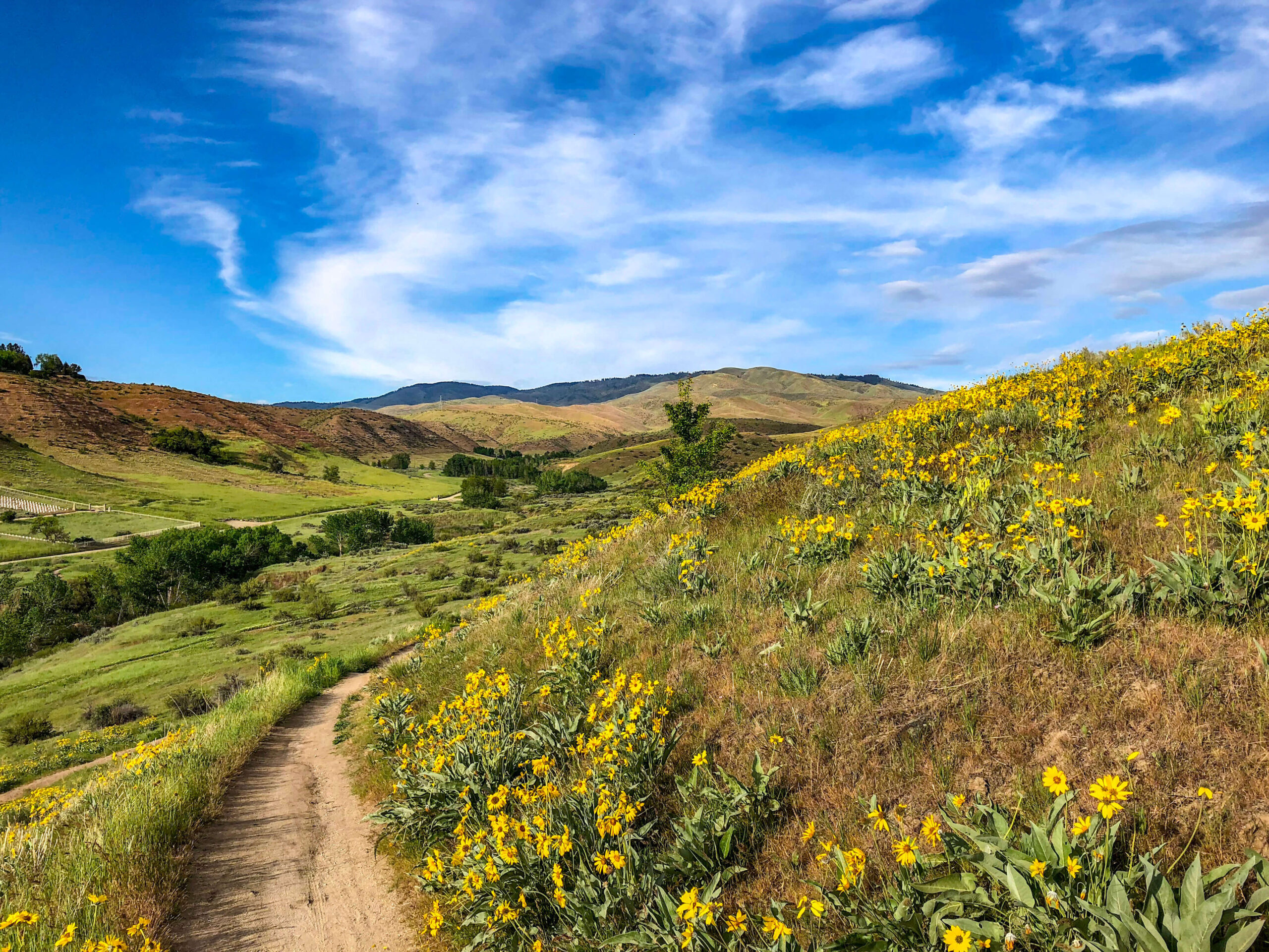 Foothills Dermatology & Facial Plastic Surgery