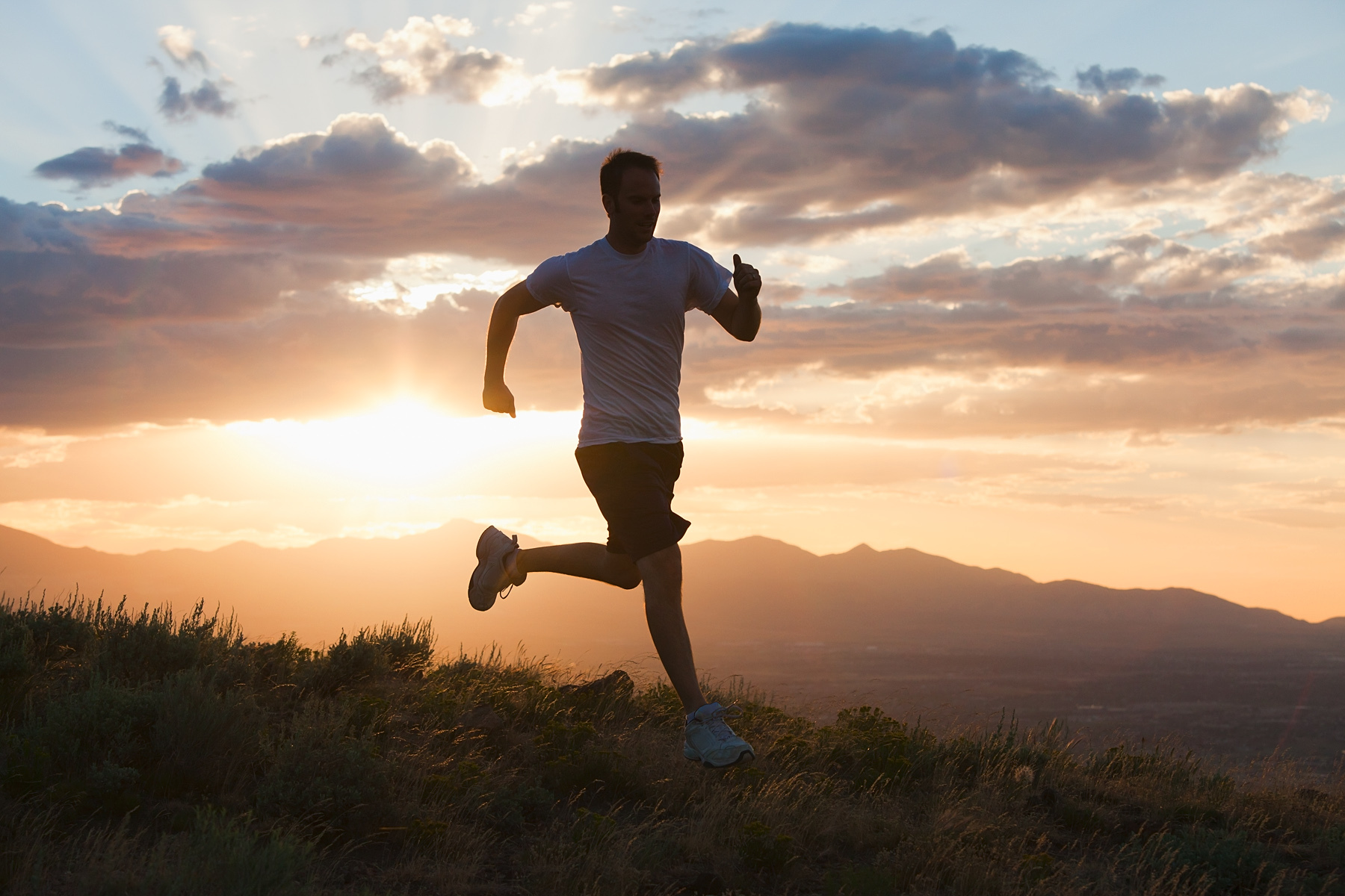 The Good and Active Lifestyle – The Rots - Active Artificially Acquired Immunity Is A Result Of