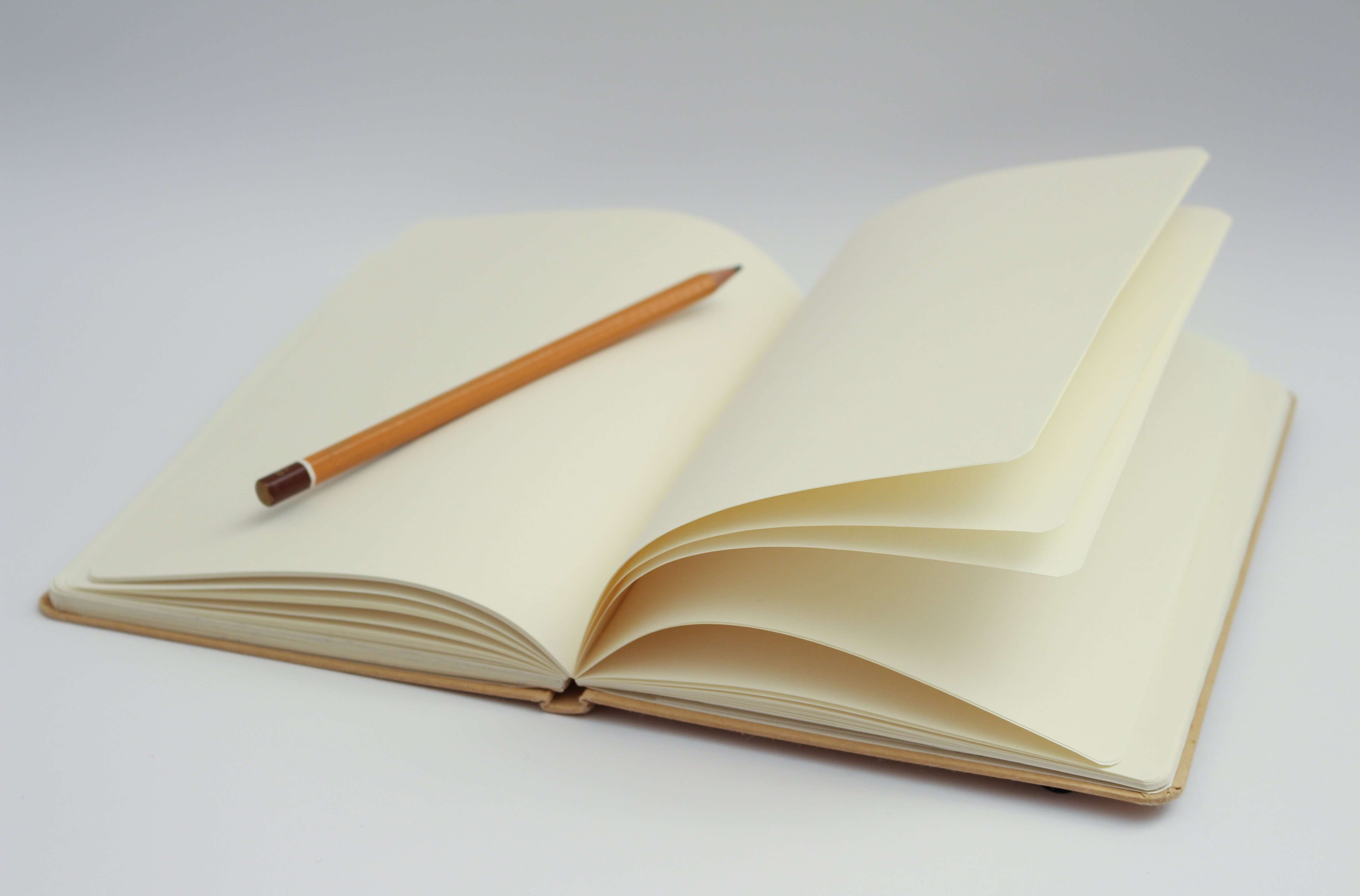 The Importance of Keeping a Journal - Ivan Mana - Journal Of Diabetes Science And Technology