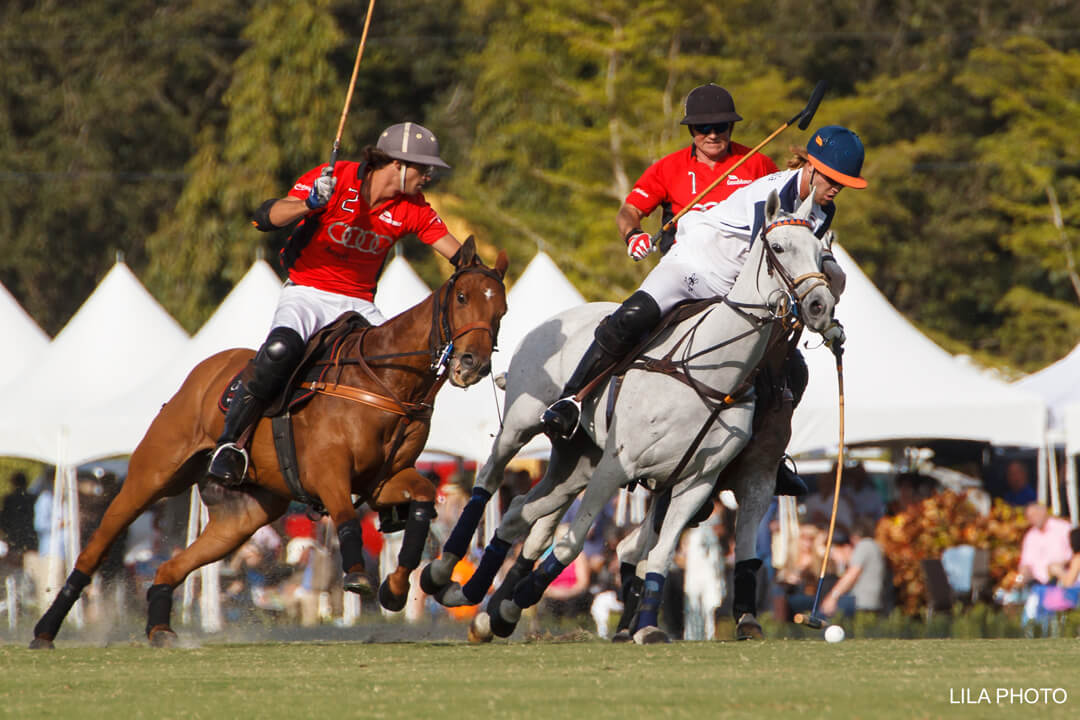 The Palm Beaches Events Calendar: Upcoming Events & Shows - Events In West Palm Beach Today