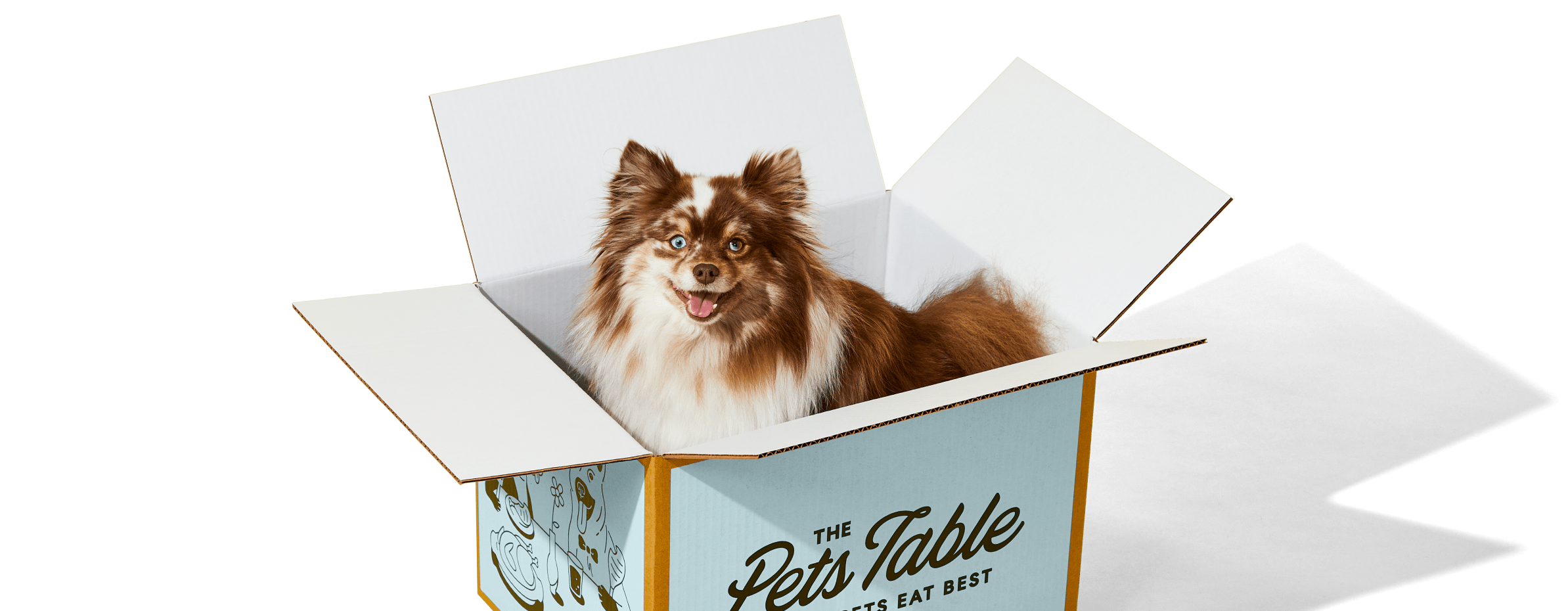 The Pets Table: Healthy Dog Food Developed With Vets - How Much Is Pets Table Dog Food