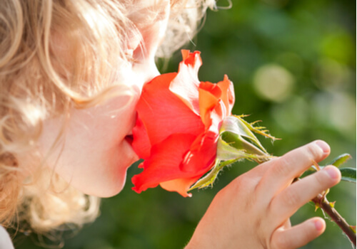 The Psychology of Smell: Three Smells that Change Attitudes - Can Smelling Weed Make You Fail A Drug Test