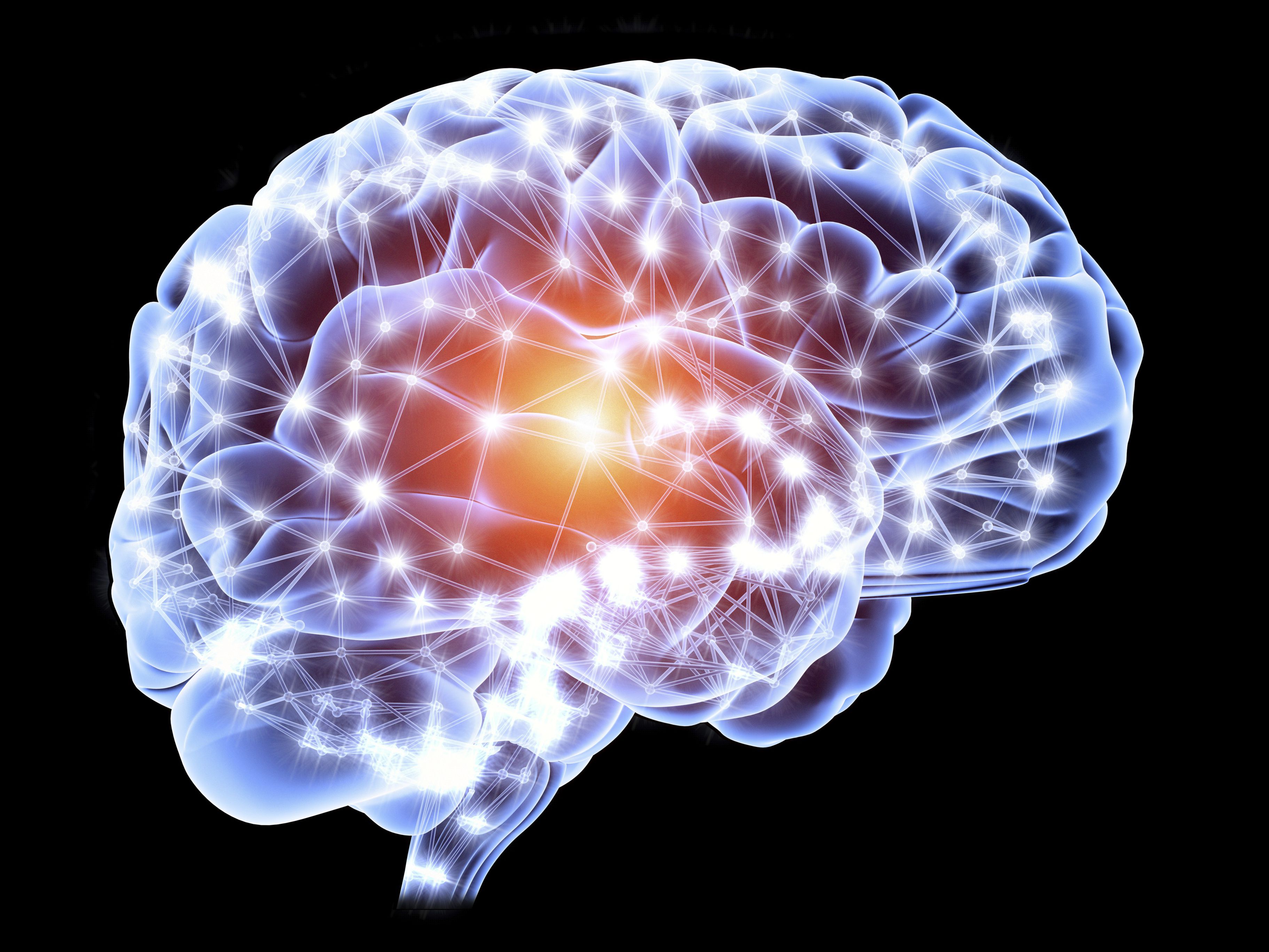 The Science Behind How New Brain Cells Are Generated - Brain Waves Synchronize When People Interact