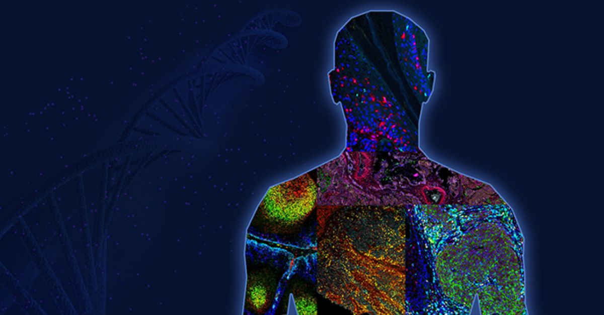 The Spatial Biology Company | Akoya Biosciences - Akoya Biosciences Web Mobile Applications 2023-2025